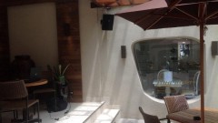 Sonorização de Ambiente - Garden Gallery  - Foto 10